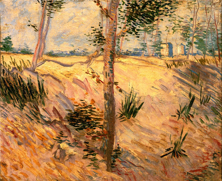 Trees In A Field On A Sunny Day Van Gogh Oil Painting